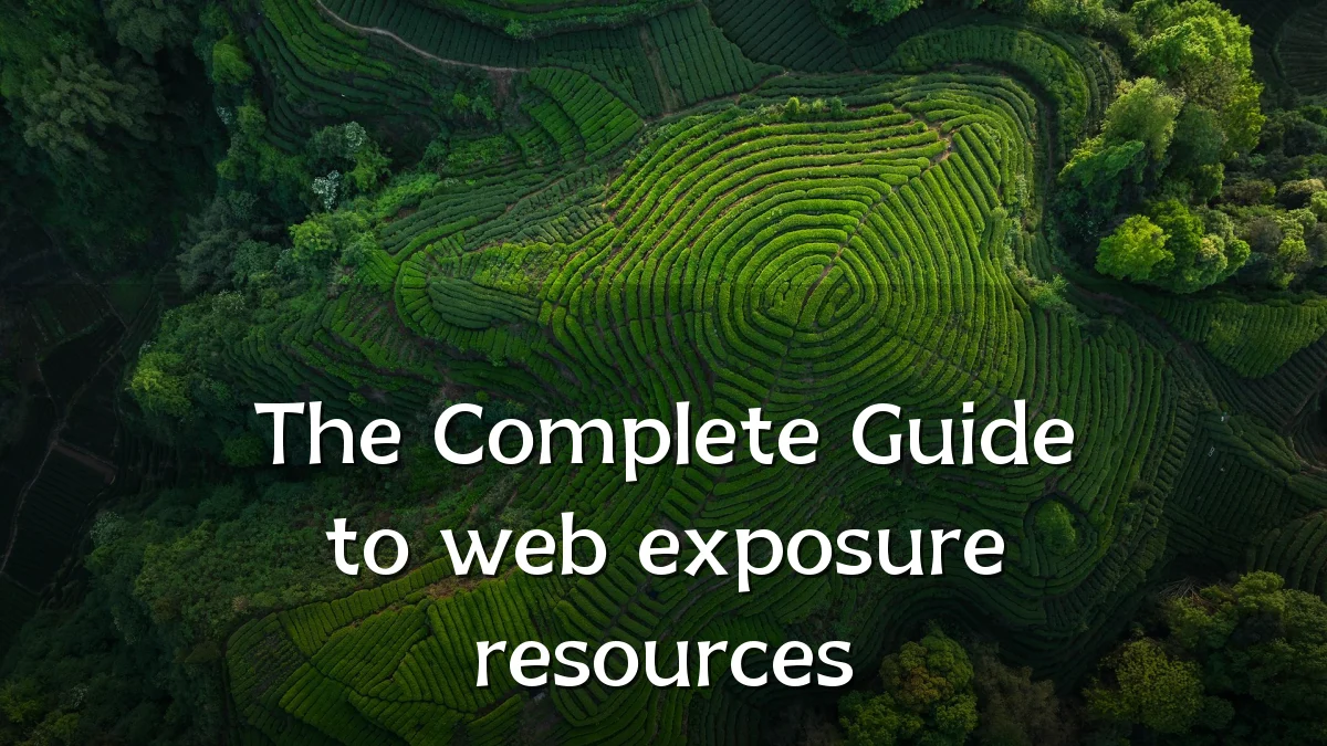 The Complete Guide to web exposure resources