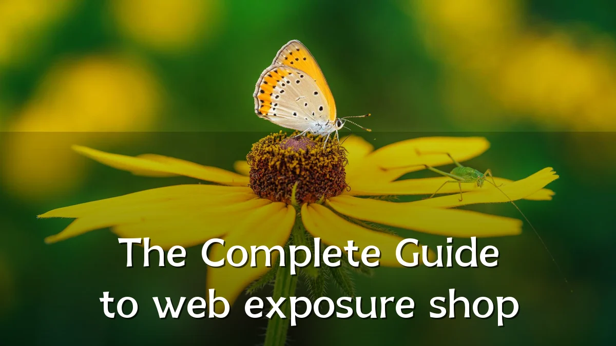 The Complete Guide to web exposure shop