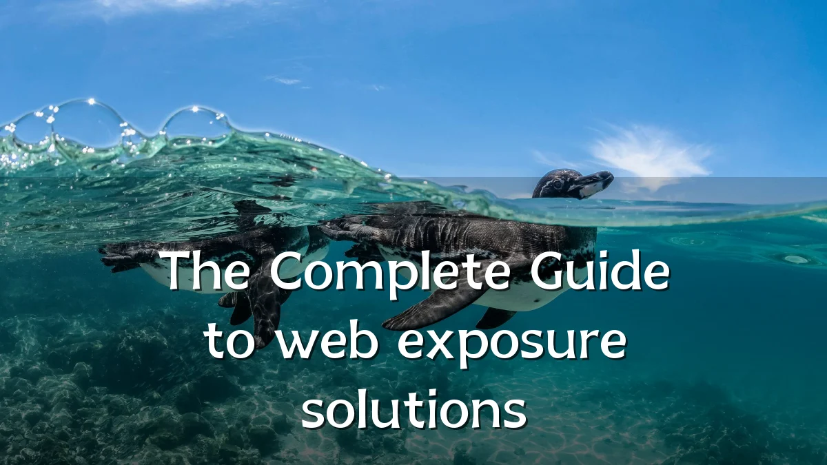 The Complete Guide to web exposure solutions
