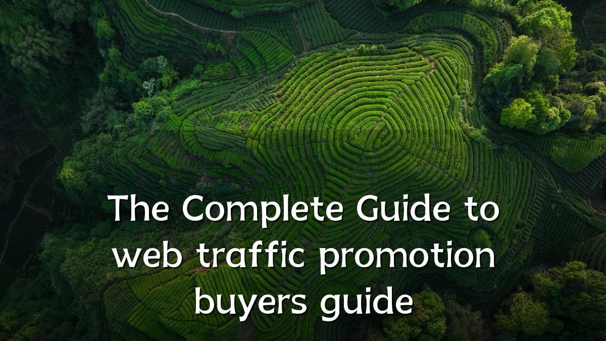 The Complete Guide to web traffic promotion buyers guide