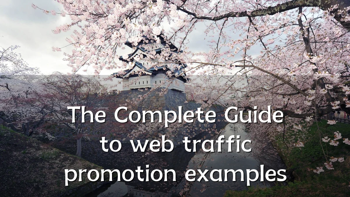 The Complete Guide to web traffic promotion examples
