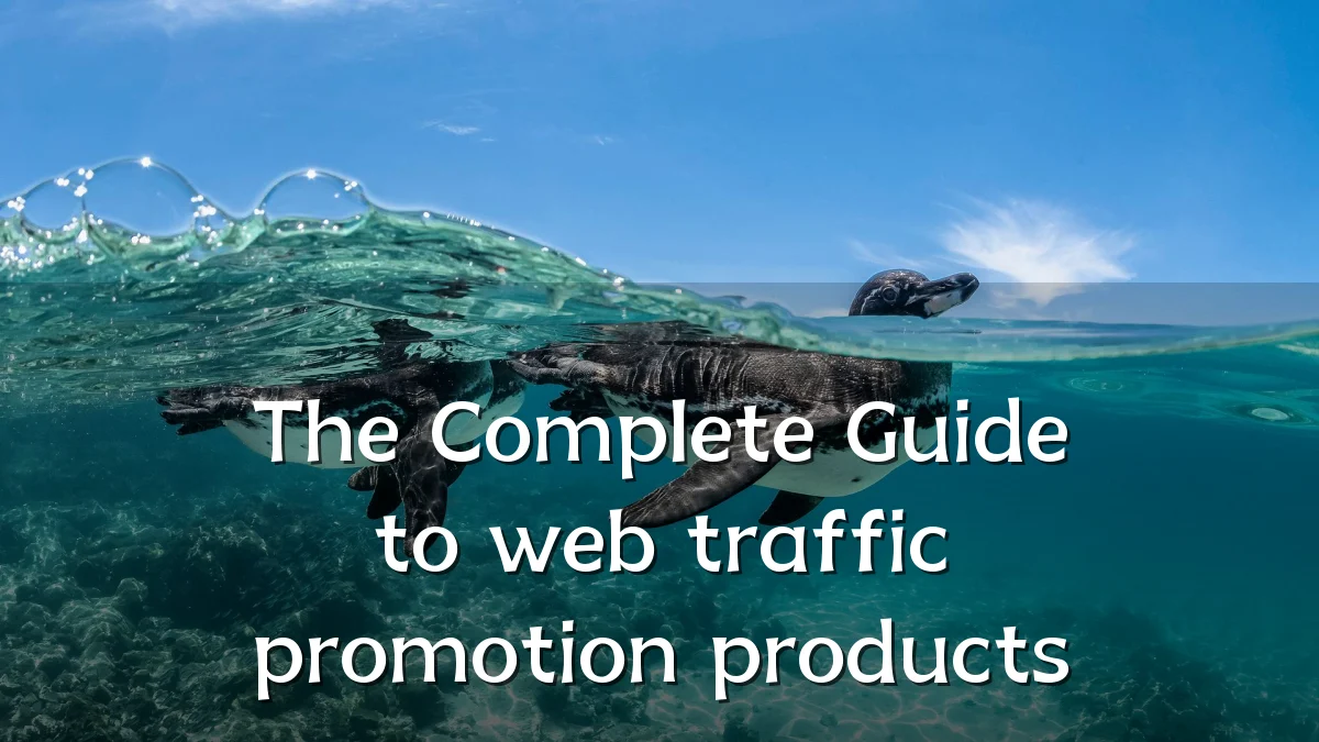 The Complete Guide to web traffic promotion products