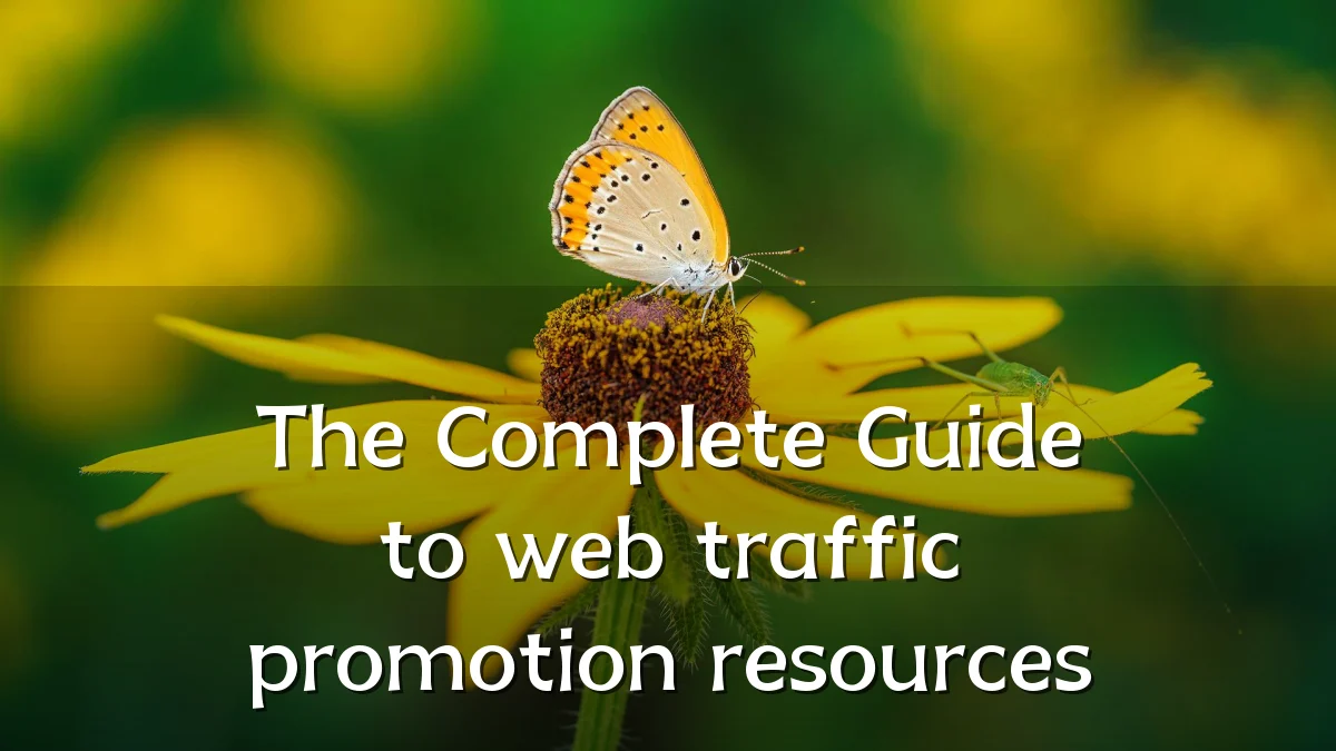 The Complete Guide to web traffic promotion resources