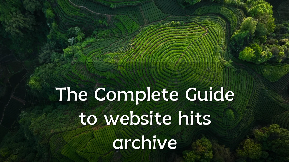 The Complete Guide to website hits archive