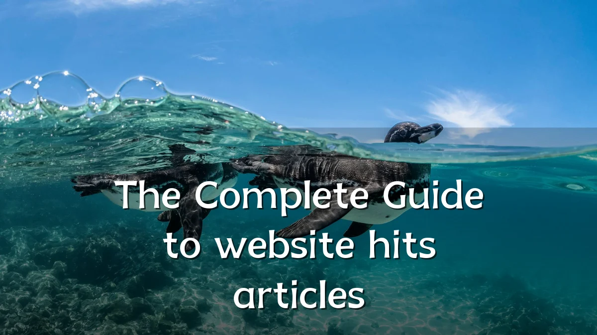 The Complete Guide to website hits articles