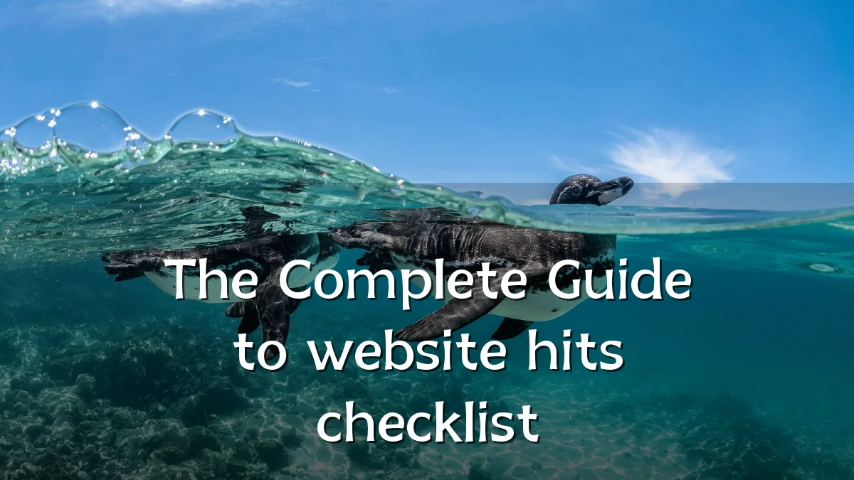 The Complete Guide to website hits checklist