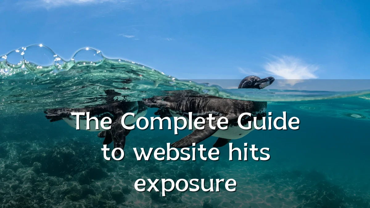 The Complete Guide to website hits exposure