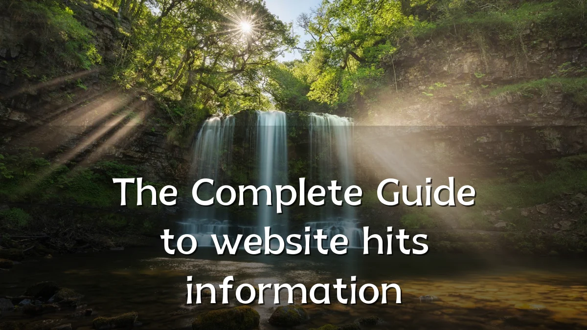The Complete Guide to website hits information