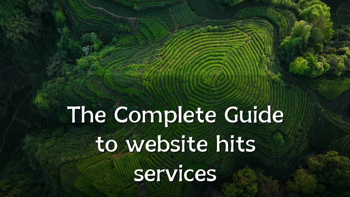 The Complete Guide to website hits services