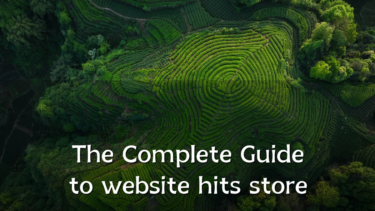 The Complete Guide to website hits store