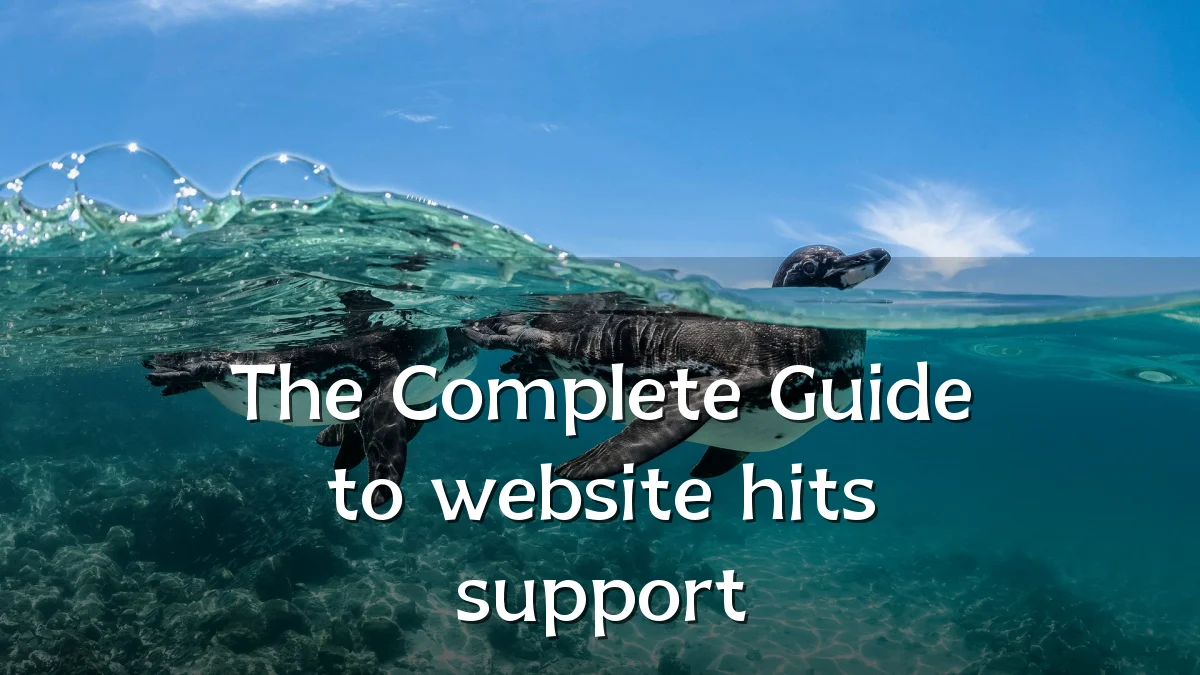 The Complete Guide to website hits support