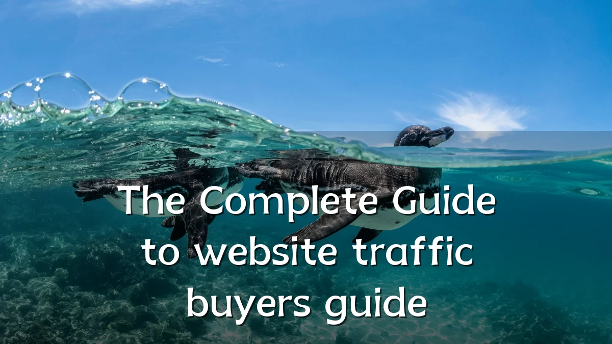 The Complete Guide to website traffic buyers guide