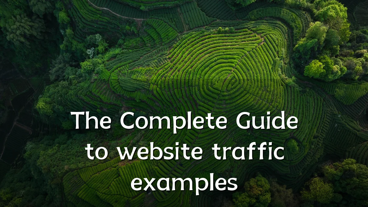 The Complete Guide to website traffic examples