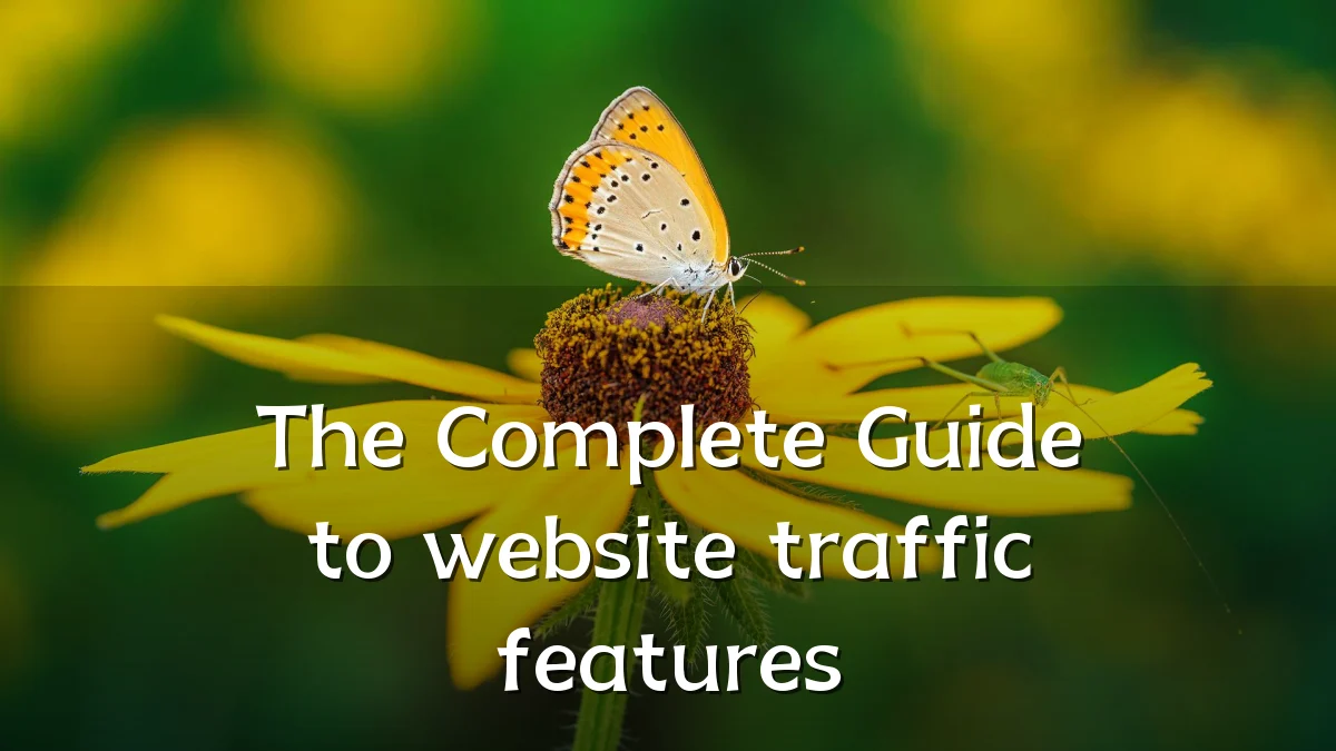 The Complete Guide to website traffic features