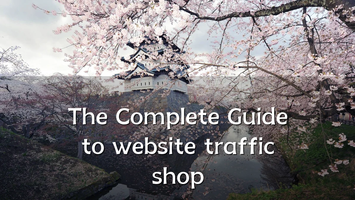 The Complete Guide to website traffic shop