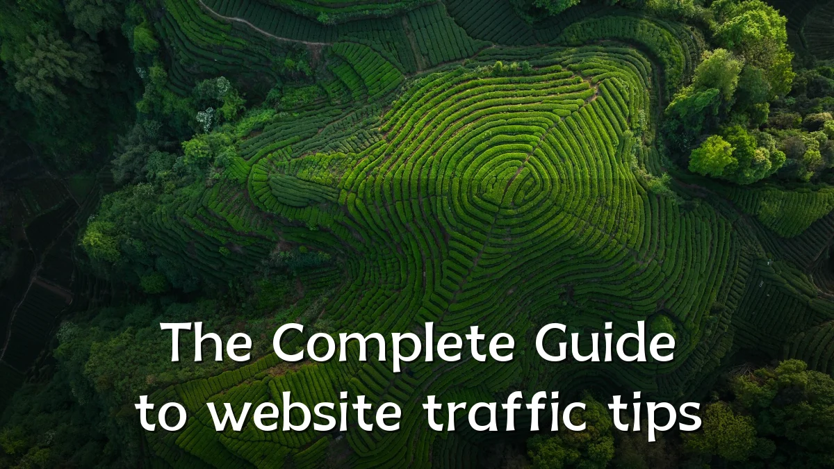 The Complete Guide to website traffic tips