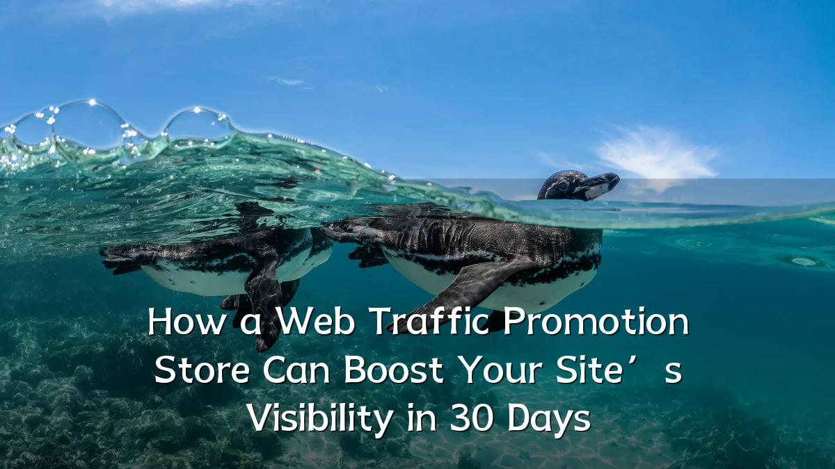 How a Web Traffic Promotion Store Can Boost Your Site’s Visibility in 30 Days