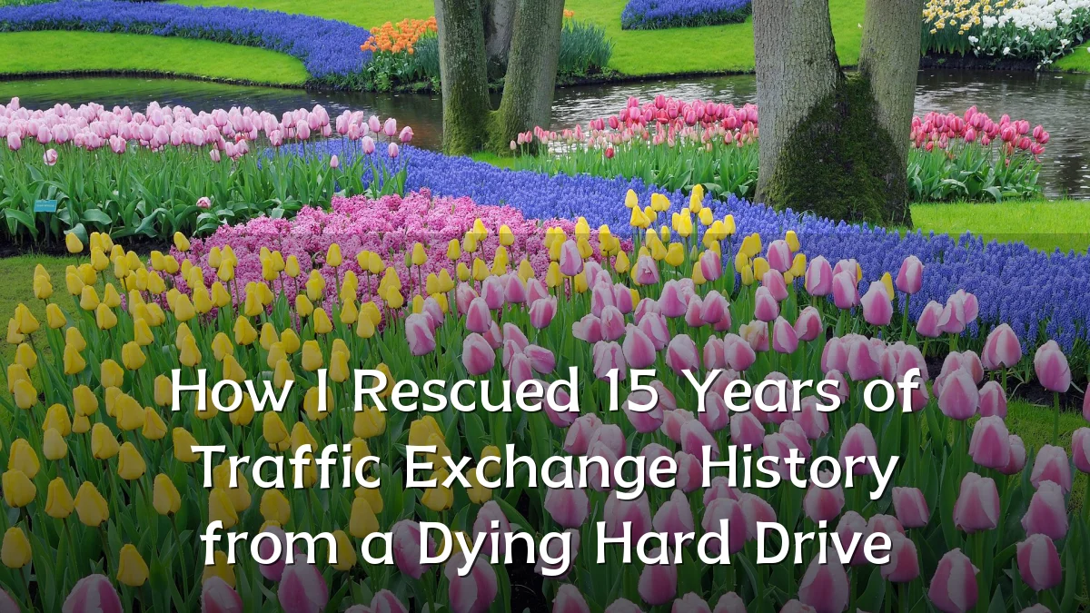 How I Rescued 15 Years of Traffic Exchange History from a Dying Hard Drive
