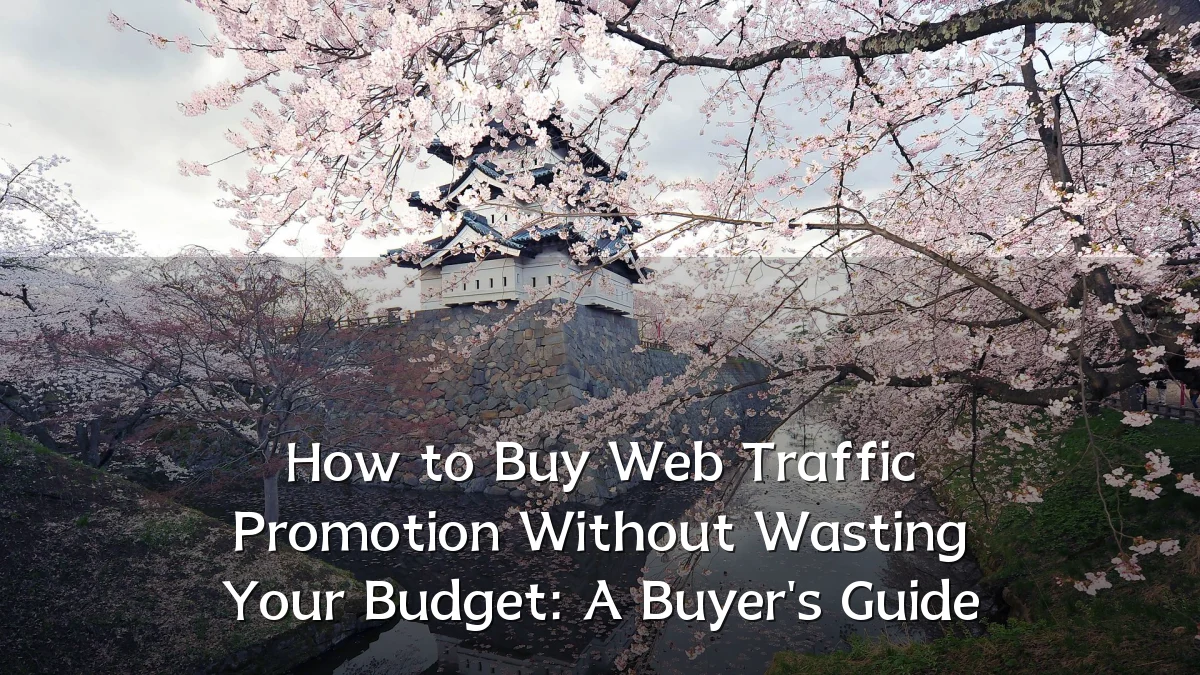 How to Buy Web Traffic Promotion Without Wasting Your Budget: A Buyer's Guide