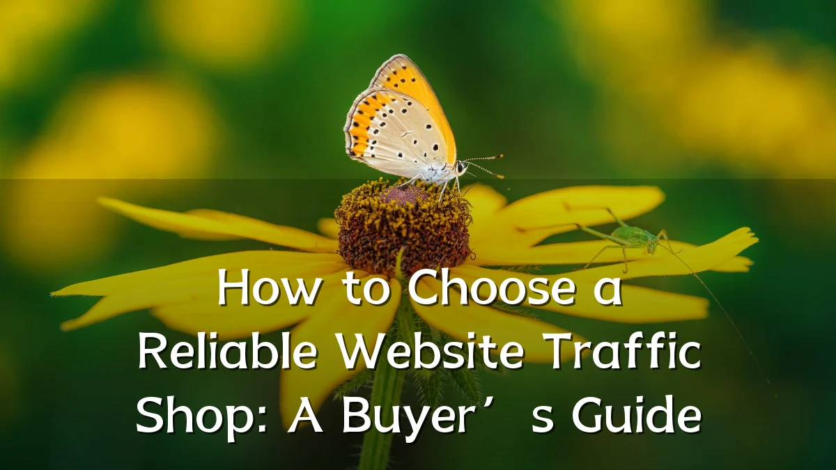 How to Choose a Reliable Website Traffic Shop: A Buyer’s Guide