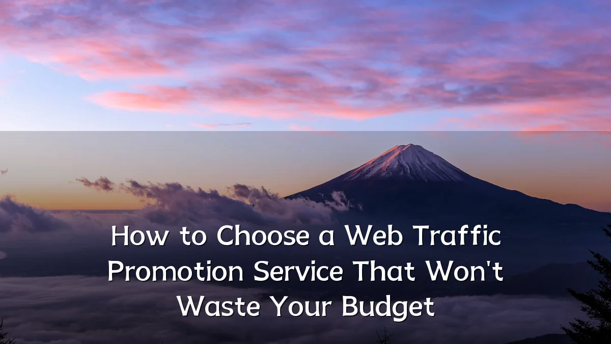 How to Choose a Web Traffic Promotion Service That Won't Waste Your Budget