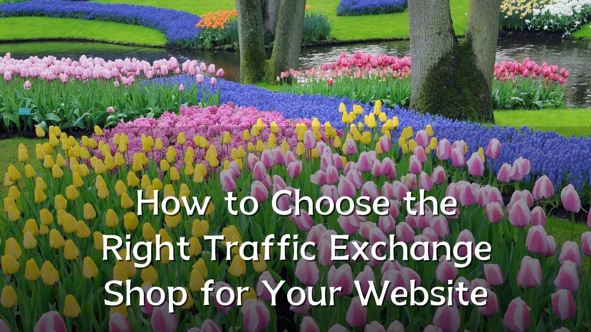 How to Choose the Right Traffic Exchange Shop for Your Website