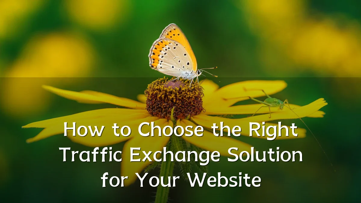 How to Choose the Right Traffic Exchange Solution for Your Website