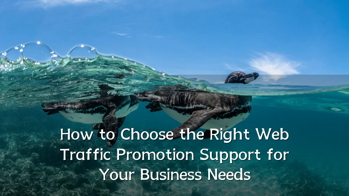 How to Choose the Right Web Traffic Promotion Support for Your Business Needs
