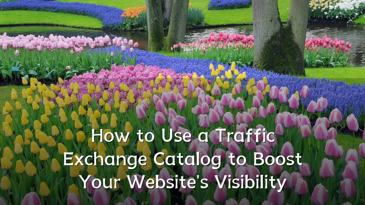 How to Use a Traffic Exchange Catalog to Boost Your Website's Visibility