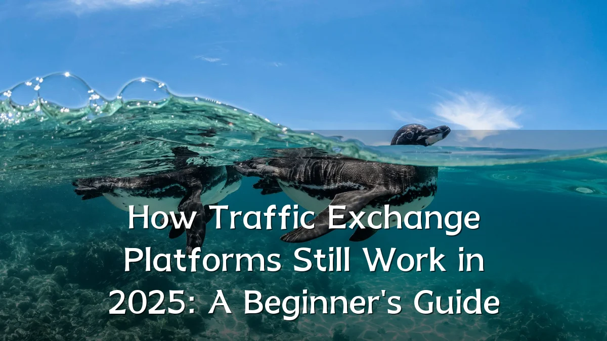 How Traffic Exchange Platforms Still Work in 2025: A Beginner's Guide