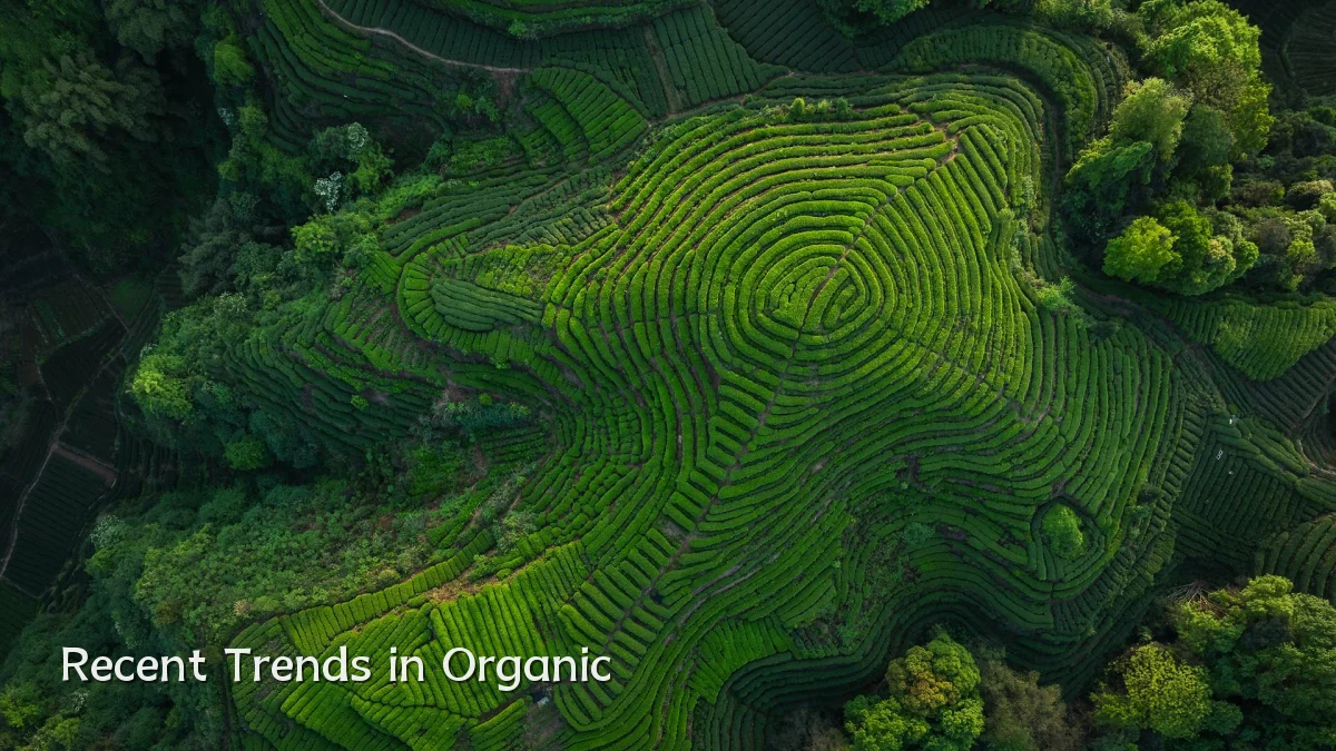 Recent Trends in Organic
