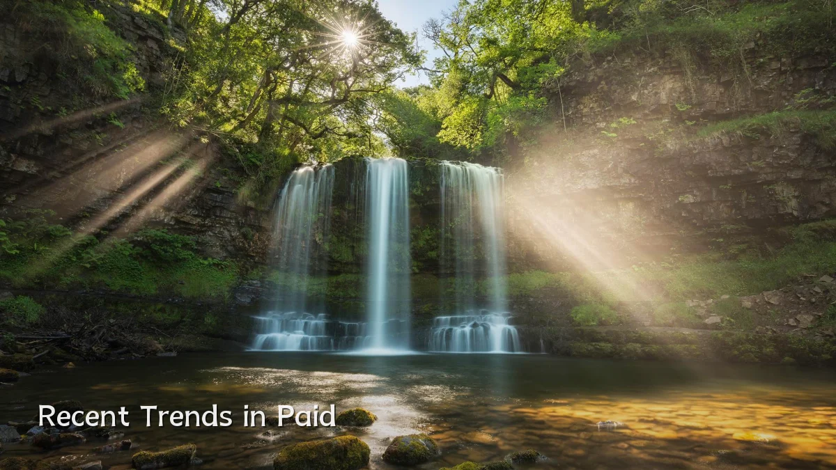 Recent Trends in Paid