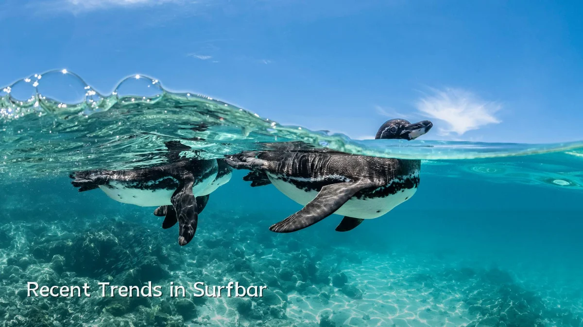 Recent Trends in Surfbar