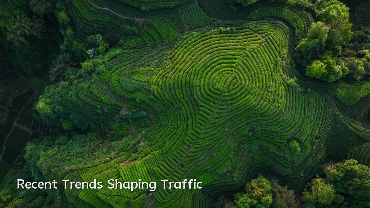 Recent Trends Shaping Traffic