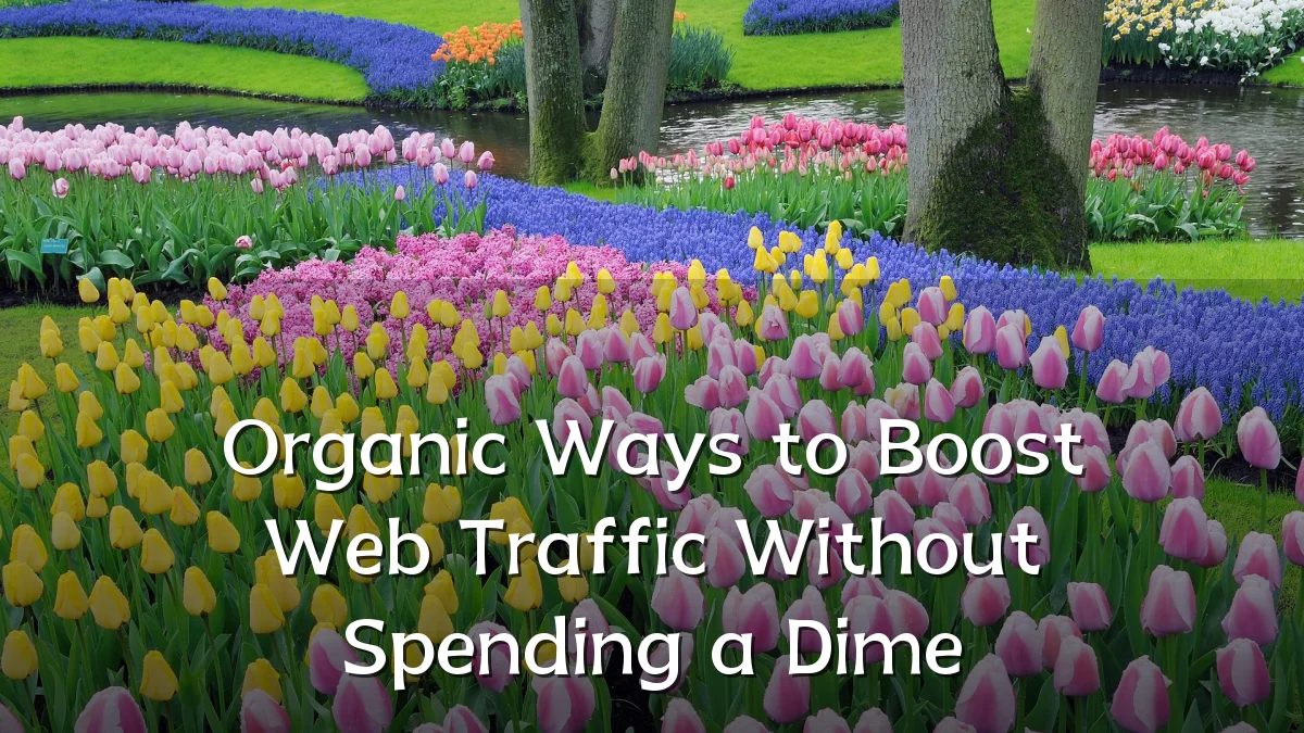 Organic Ways to Boost Web Traffic Without Spending a Dime