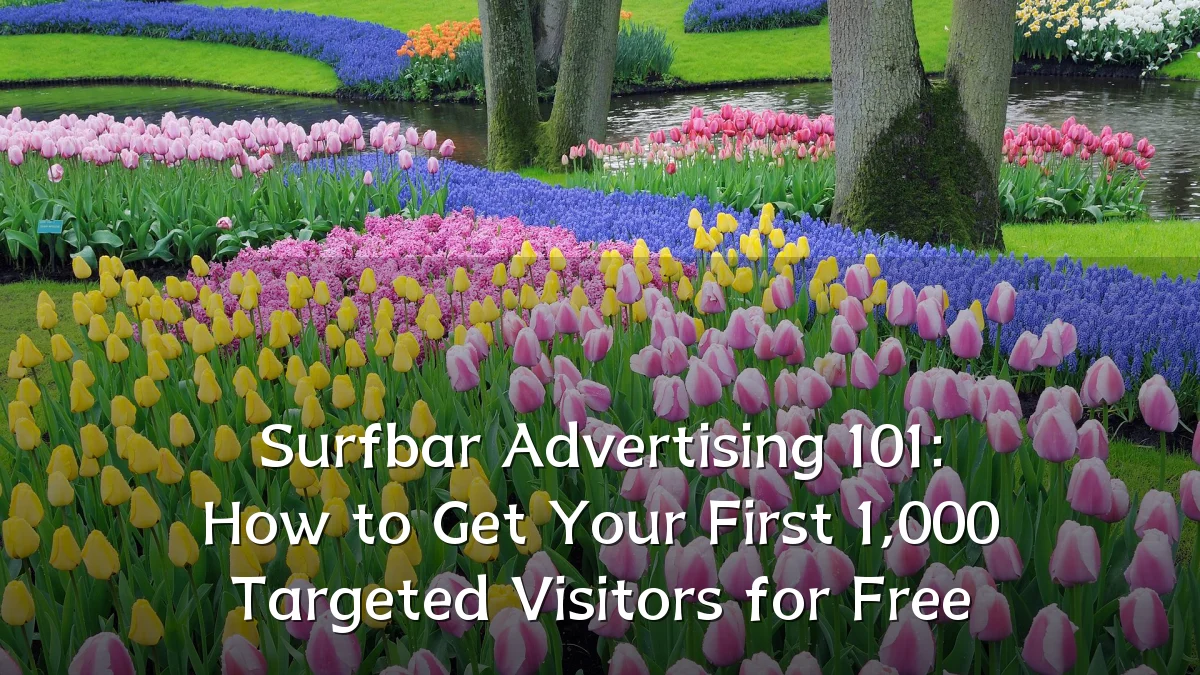 Surfbar Advertising 101: How to Get Your First 1,000 Targeted Visitors for Free