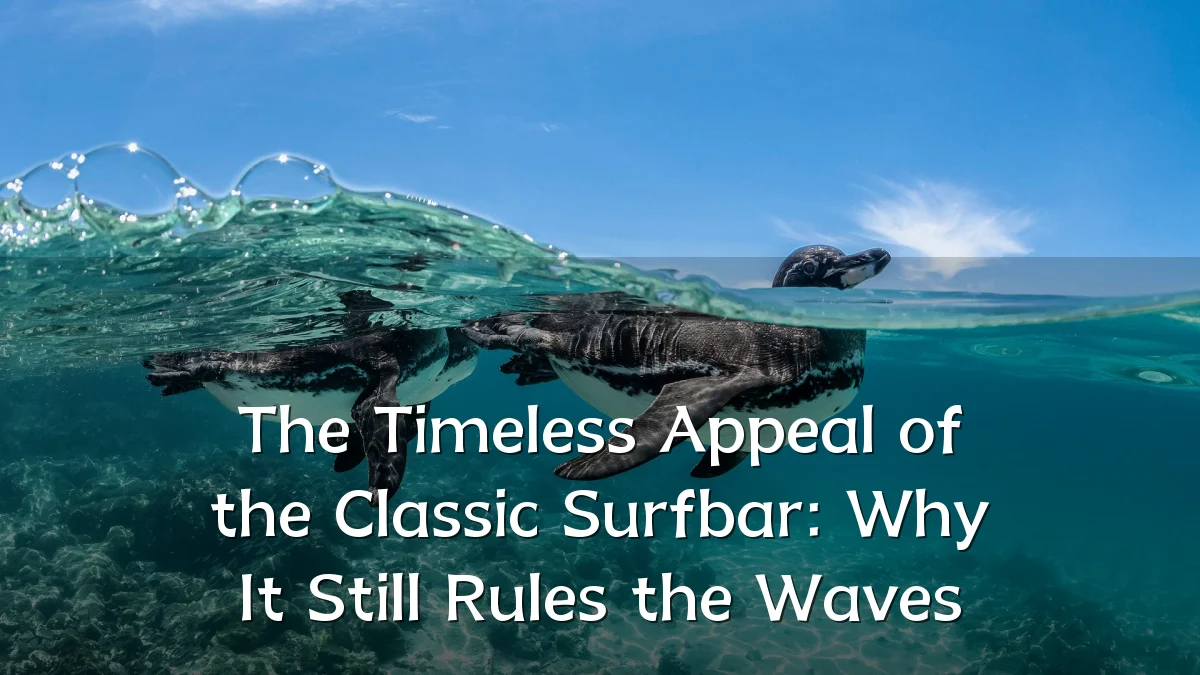 The Timeless Appeal of the Classic Surfbar: Why It Still Rules the Waves