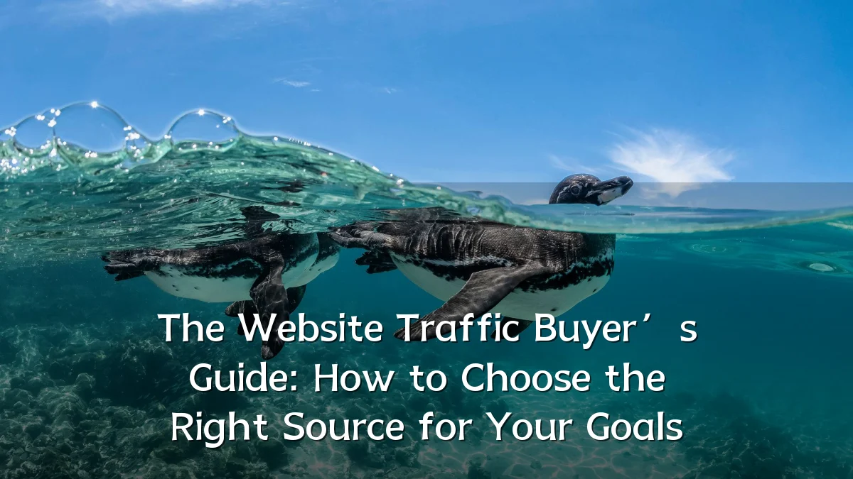 The Website Traffic Buyer’s Guide: How to Choose the Right Source for Your Goals