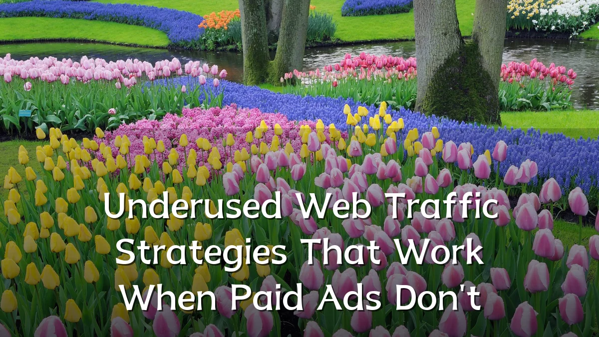 Underused Web Traffic Strategies That Work When Paid Ads Don't