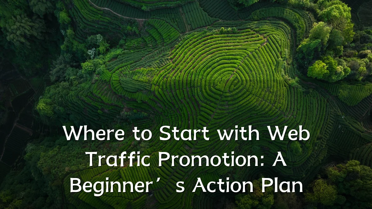 Where to Start with Web Traffic Promotion: A Beginner’s Action Plan