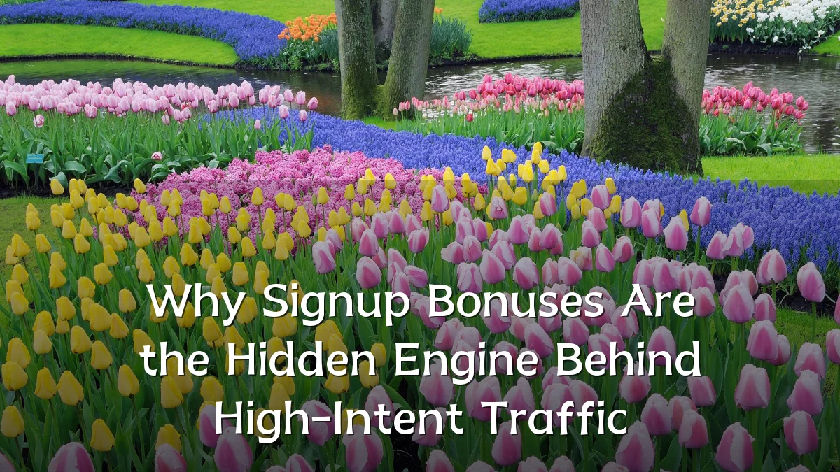 Why Signup Bonuses Are the Hidden Engine Behind High-Intent Traffic