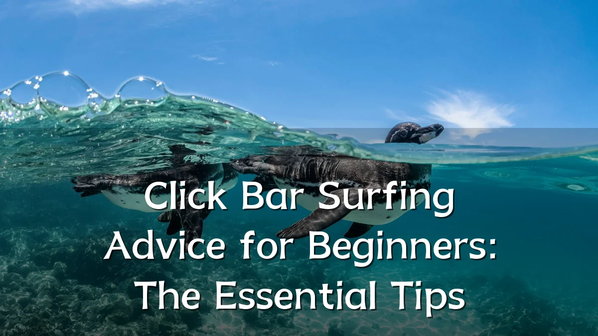 Click Bar Surfing Advice for Beginners: The Essential Tips