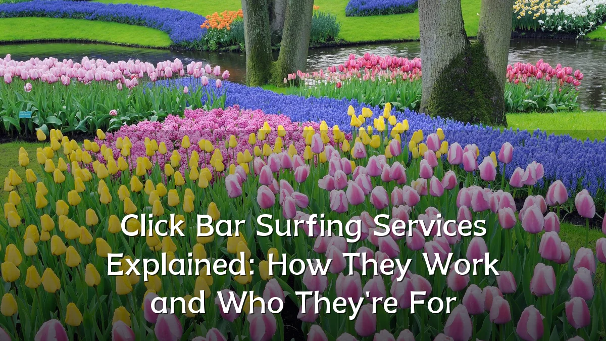 Click Bar Surfing Services Explained: How They Work and Who They're For