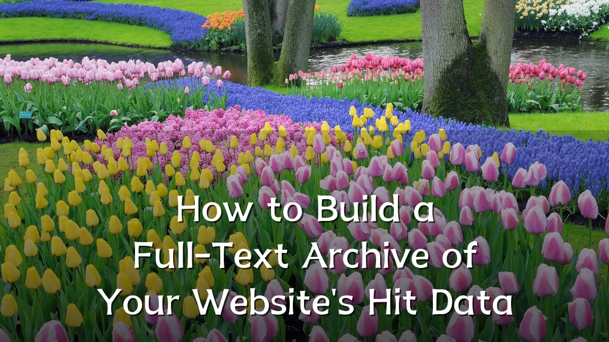 How to Build a Full-Text Archive of Your Website's Hit Data