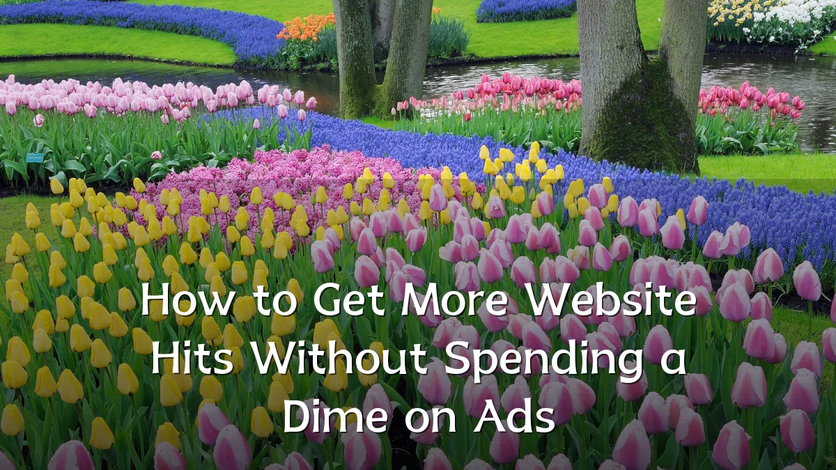 How to Get More Website Hits Without Spending a Dime on Ads