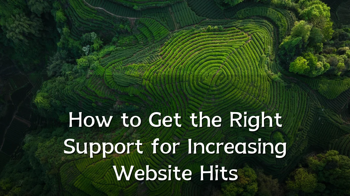 How to Get the Right Support for Increasing Website Hits