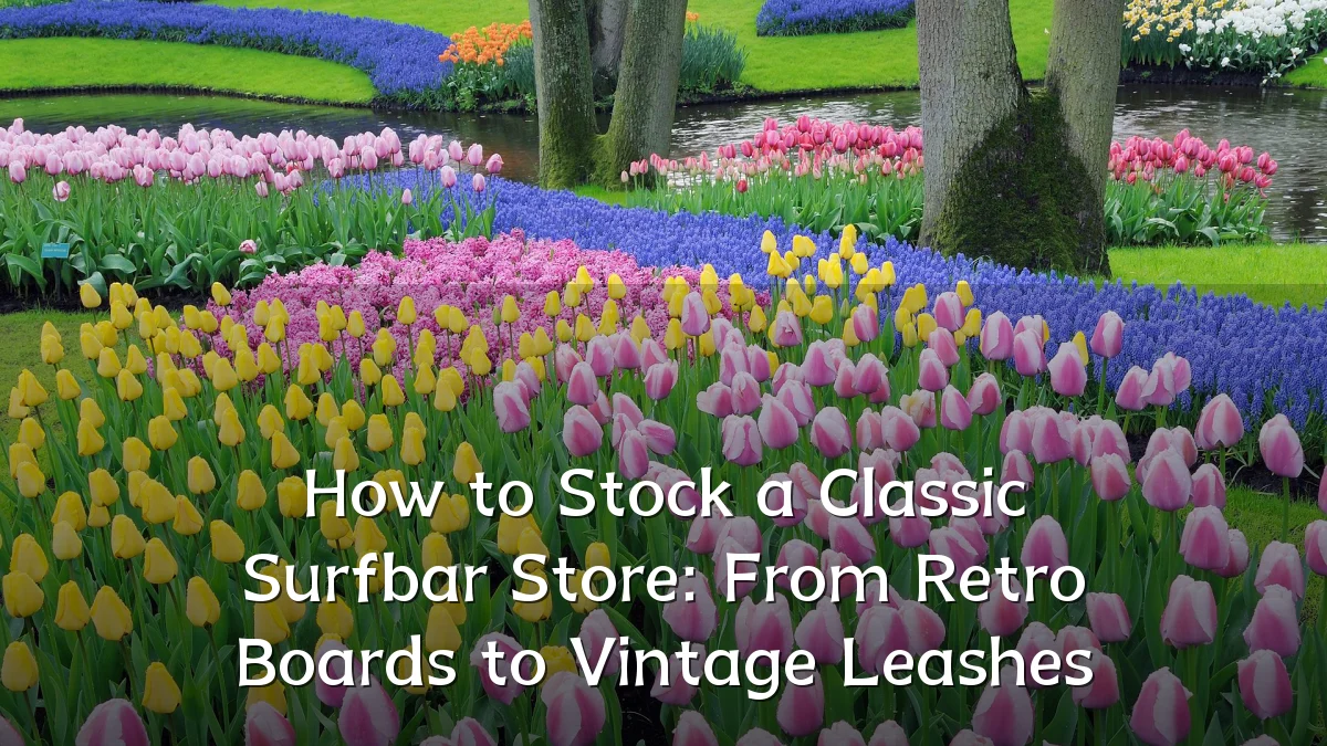 How to Stock a Classic Surfbar Store: From Retro Boards to Vintage Leashes