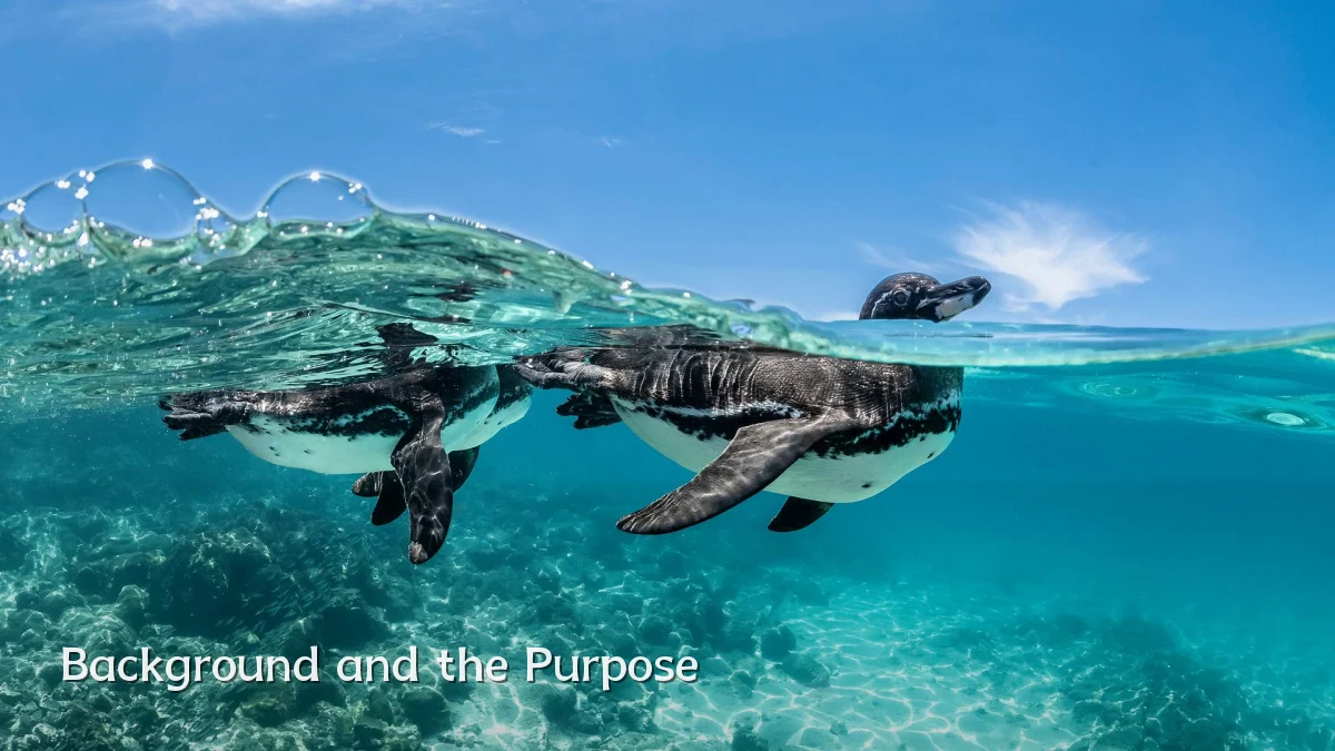 Background and the Purpose