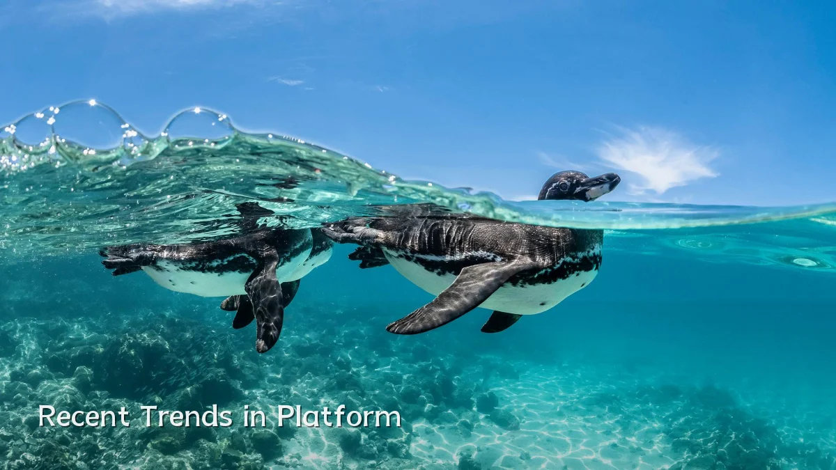 Recent Trends in Platform