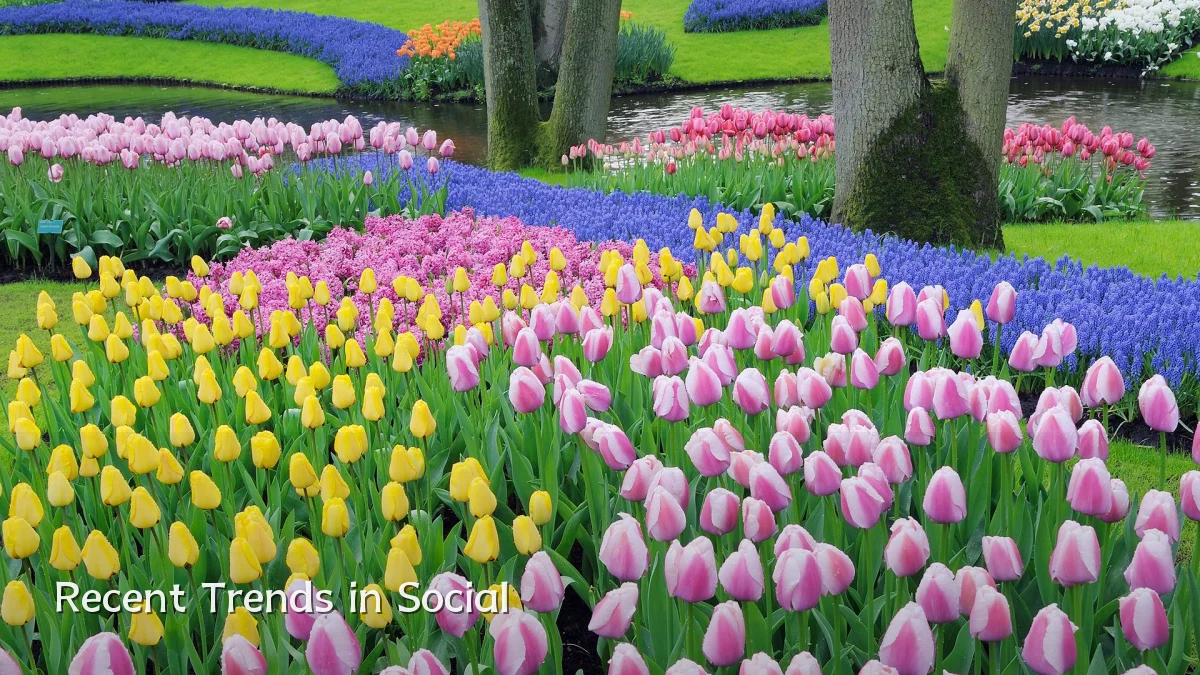 Recent Trends in Social